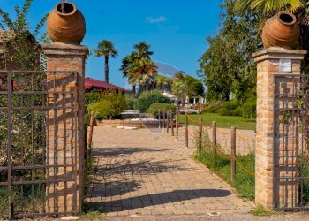 Giardino - Villa Polesella - foto 85