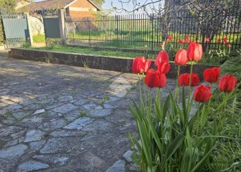 Semi-detached house Via riva, Moriondo Torinese - photo 25