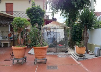 Terrazza - Independent house Via Marianna Marinelli
 
62, Montesilvano - photo 3