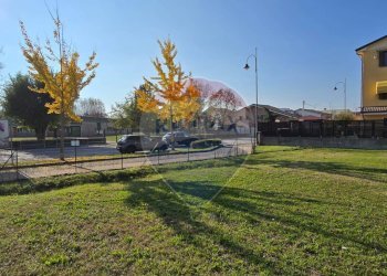 Giardino - Terreno edificabile Via Enrico Berlinguer, Occhiobello - foto 6