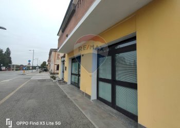 Terrazza - Negozio Terre del Reno - foto 1