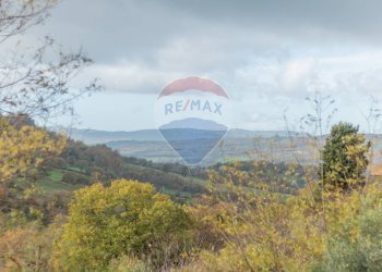 Vista delle montagne - Appartamento Semproniano - foto 16