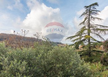 Vista delle montagne - Appartamento Semproniano - foto 5