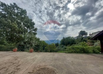 Giardino - Villa Ceppaloni - foto 47