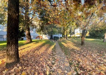 Giardino - Trilocale Via Mameli
 
11, Monza - foto 39