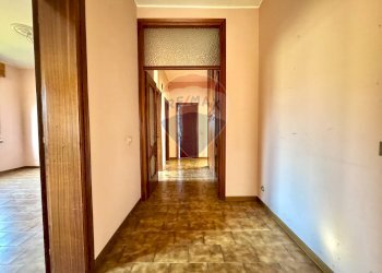 Hall / corridoio - Casa indipendente Casalgrande - foto 28