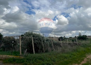 Giardino - Terreno agricolo sc35
 
6, Santa Croce Camerina - foto 6
