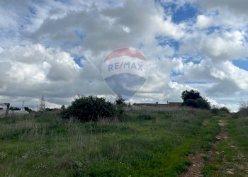 Non correlato - Terreno agricolo sc35
 
6, Santa Croce Camerina - foto 8