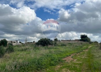 Giardino - Villa Contrada Serramenzana
 
16, Santa Croce Camerina - foto 18