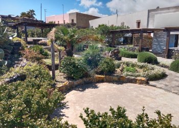 Giardino - Casa indipendente Pantelleria - foto 26