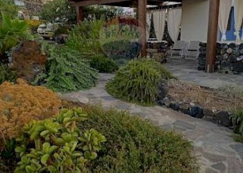 Giardino - Casa indipendente Pantelleria - foto 44