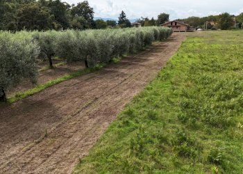 Foto 7 - Terreno edificabile Via Cesiano
 
snc, Cave - foto 7