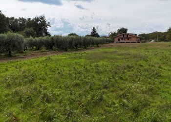 Foto 10 - Terreno edificabile Via Cesiano
 
snc, Cave - foto 10