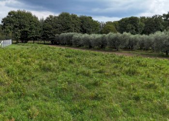 Foto 12 - Terreno edificabile Via Cesiano
 
snc, Cave - foto 12