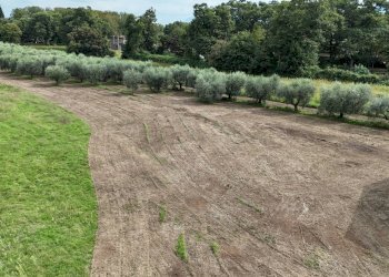 Foto 13 - Terreno edificabile Via Cesiano
 
snc, Cave - foto 13