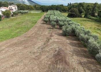 Foto 14 - Terreno edificabile Via Cesiano
 
snc, Cave - foto 14