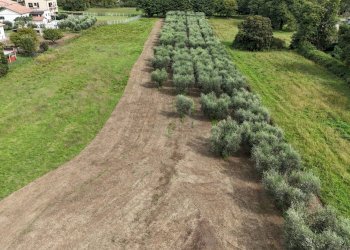 Foto 15 - Terreno edificabile Via Cesiano
 
snc, Cave - foto 15