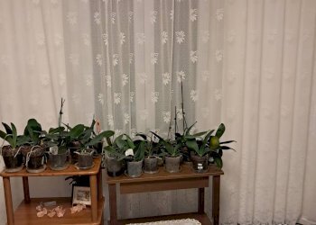 Foto 7 - Two-room apartment Monfalcone - photo 7