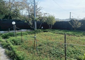 Terreno - Villa via Flacca, Gaeta - foto 11