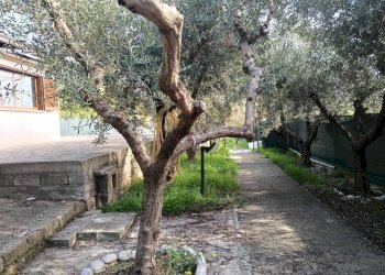 Terreno - Villa via Flacca, Gaeta - foto 15