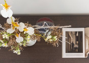 Dettagli - Apartment via della Pineta
 
209, Cagliari - photo 12