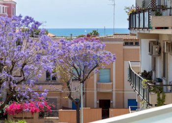 Vista dalla terrazza - Quadrilocale via della Pineta
 
209, Cagliari - foto 16