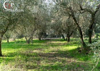 Foto 3 - Rustico Via della Martellina
 
10, Fiesole - foto 3