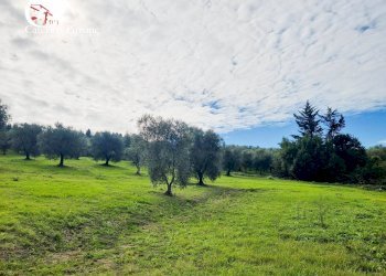 Foto 14 - Villa via dello Stracchino
 
10, Pontassieve - foto 14