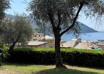Giardino - Three-room apartment corso Giuseppe Mazzini, Camogli - photo 36