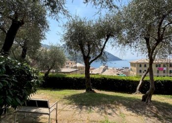 Giardino - Three-room apartment corso Giuseppe Mazzini, Camogli - photo 37