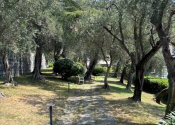Giardino - Three-room apartment corso Giuseppe Mazzini, Camogli - photo 38