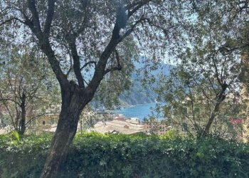 Giardino - Three-room apartment corso Giuseppe Mazzini, Camogli - photo 39