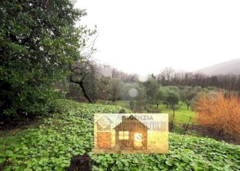 Terreno - Rustico via Capezzana, Carmignano - foto 43