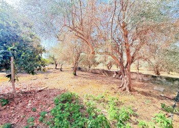 Foto 22 - Villa STRADA PER OGNINA, Siracusa - foto 22