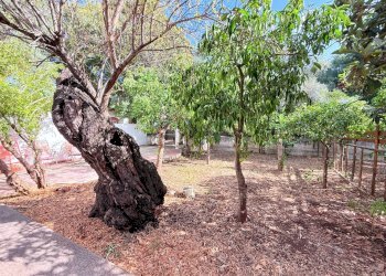 Foto 21 - Villa a Schiera STRADA PER OGNINA, Siracusa - foto 21