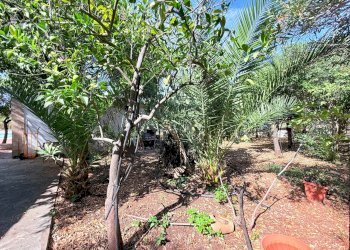 Foto 23 - Villa a Schiera STRADA PER OGNINA, Siracusa - foto 23