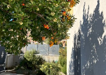 Foto 48 - Independent house 16, Venarotta - photo 48