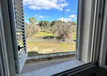 Foto 12 - Trilocale via gallipoli, Sannicola - foto 12