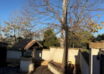 Terreno - Rustic contrada Campo Mirabello, 109, Montebello di Bertona - photo 33