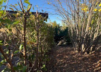 Terreno - Rustic contrada Campo Mirabello, 109, Montebello di Bertona - photo 37