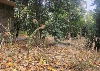 20251118_154204.jpg - Casa indipendente Viale Verdi snc, Jesi - foto 9