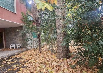 20251118_154036.jpg - Casa indipendente Viale Verdi snc, Jesi - foto 10