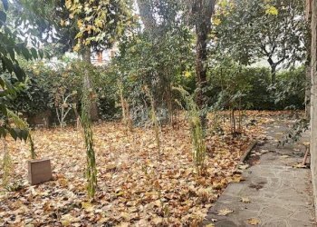 20251118_154117.jpg - Casa indipendente Viale Verdi snc, Jesi - foto 13