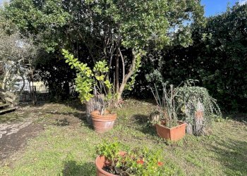 IMG_7759.jpg - Casa semi indipendente Arcola - foto 13