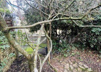 IMG_7730.jpg - Casa semi indipendente Arcola - foto 24