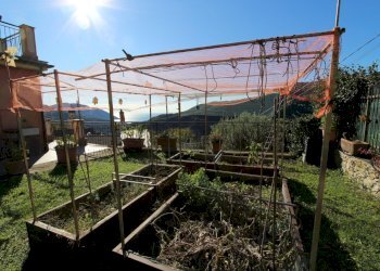 Giardino - Appartamento Avegno - foto 3