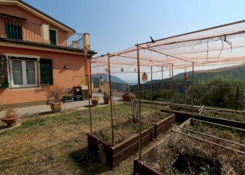 Giardino - Quadrilocale Avegno - foto 21