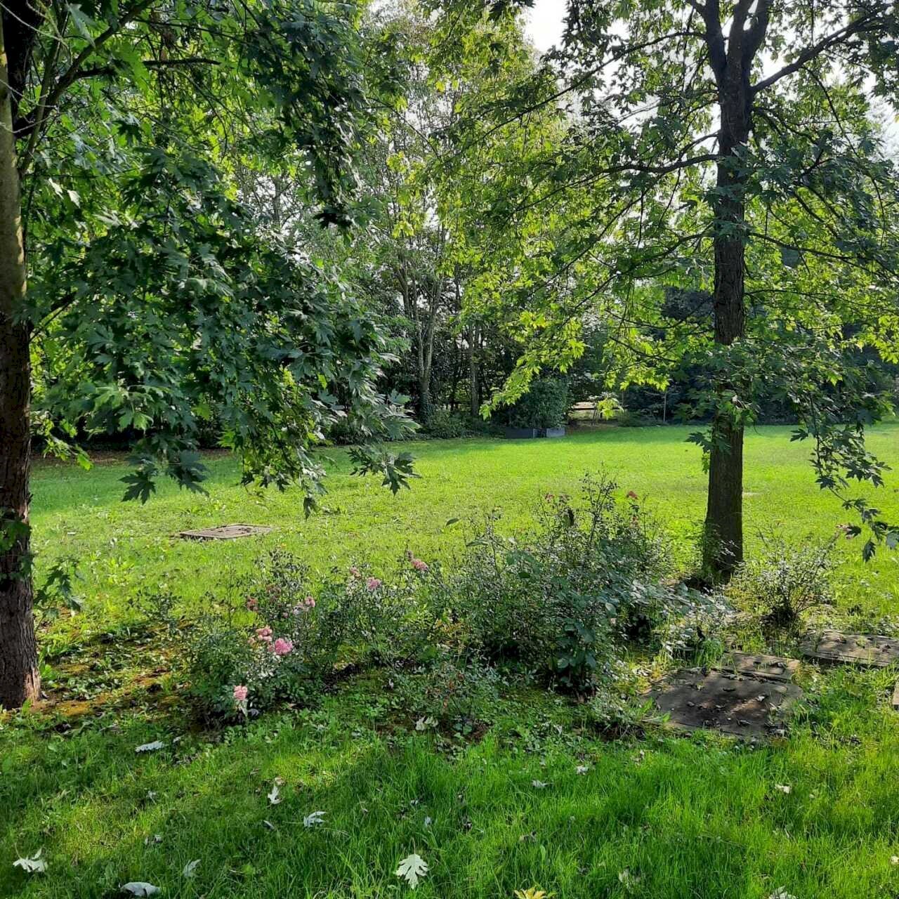 IMG-20250911-WA0002.jpg - Casa indipendente Strada Comunale per Rivalta, Gazzola - foto 2