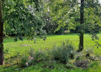 IMG-20250911-WA0002.jpg - Casa indipendente Strada Comunale per Rivalta, Gazzola - foto 2