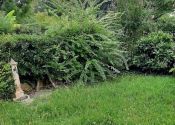 IMG-20250911-WA0014.jpg - Casa indipendente Strada Comunale per Rivalta, Gazzola - foto 13